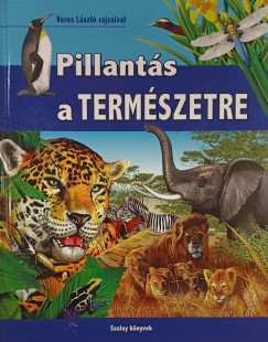 Pillants a termszetre