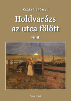 Cskvri Jzsef - Holdvarzs az utca fltt