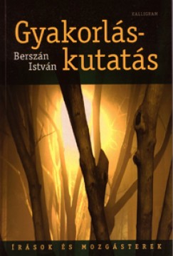 Berszn Istvn - Gyakorls-kutats