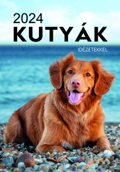 Naptár - Kutyák idézetekkel 33x23 cm - 2024