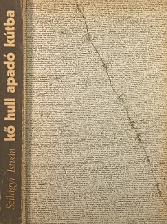 Szil�gyi Istv�n - K� hull apad� k�tba