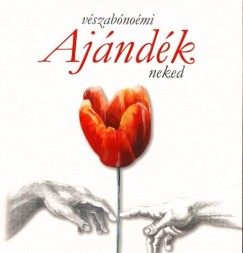 Vrszabnomi - Ajndk neked