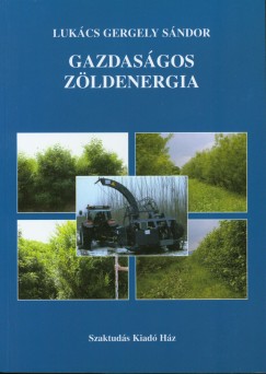 Lukcs Gergely Sndor - Gazdasgos zldenergia