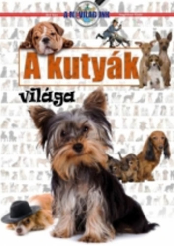 A kutyk vilga