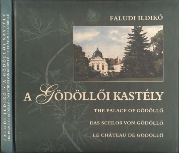 Faludi Ildik - A Gdlli kastly (tbbnyelv)