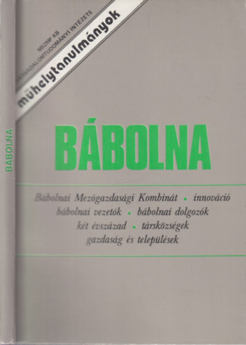 Lengyel Zsuzsa (szerk.) - B�bolna (M�helytanulm�nyok)