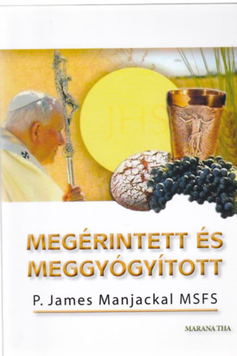 P. James Manjackal - Megrintett s meggygytott