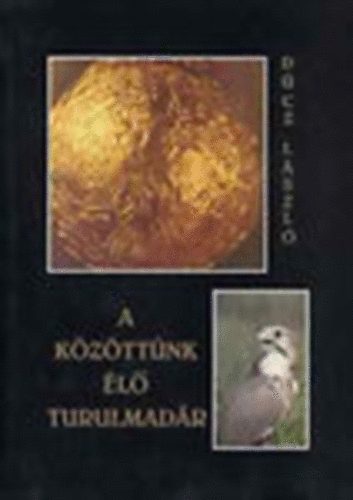 D�cz L�szl� - A k�z�tt�nk �l� turulmad�r (dedik�lt)