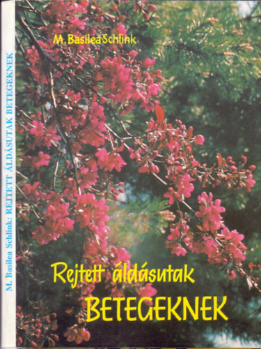 M. Basilea Schink - Rejtett ldsutak betegeknek