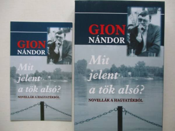 Gion Nndor - Mit jelent a tk als? - Novellk a hagyatkbl