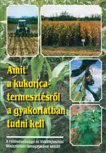 Dr. Szieberth Dnes, Dr. Szll Endre - Amit a kukoricatermesztsrl a gyakorlatban tudni kell