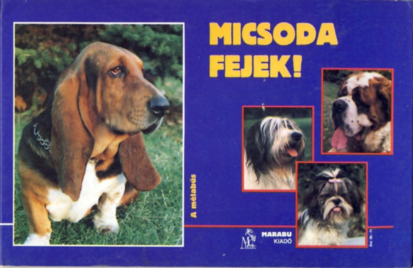 Micsoda fejek!