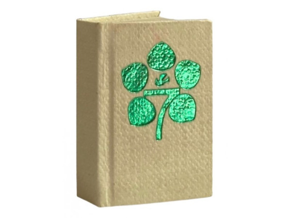 Slike iz Indije / Images of India/ Kpek Indirl