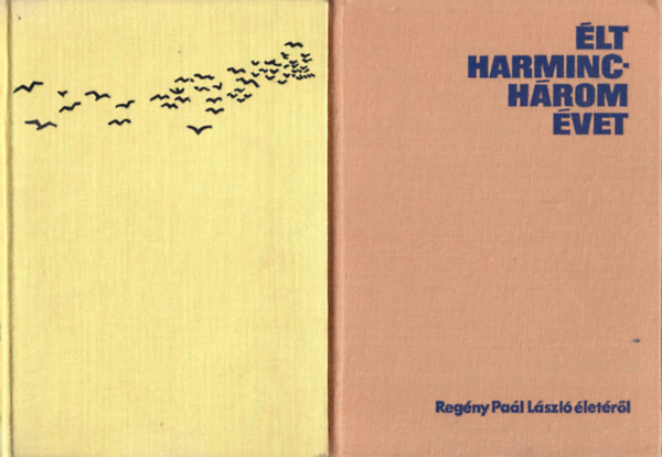 2 db életrajzi regény, Stone: Van Gogh élete, Barát Endre: Élt harminchárom évet