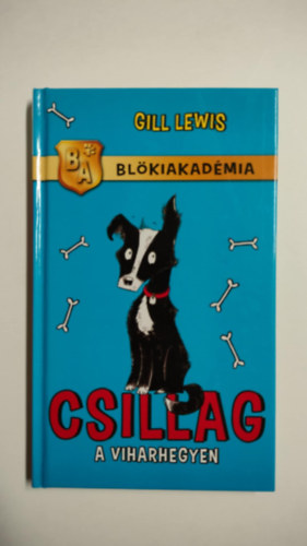 Gill Lewis - Csillag a Viharhegyen