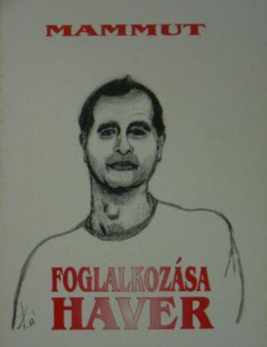 Kiss S�ndor - Foglalkoz�sa Haver