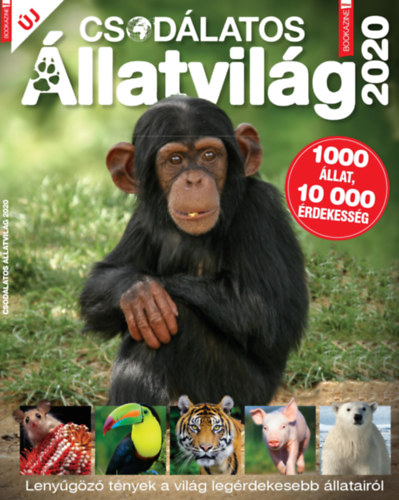 F�les Bookazine: Csod�latos �llatvil�g 2020