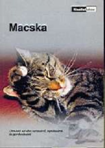Macska (kisllatkalauz)