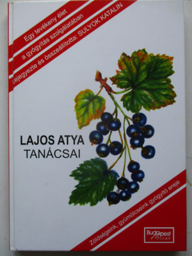Sulyok Katalin (szerk.) - Lajos atya tancsai
