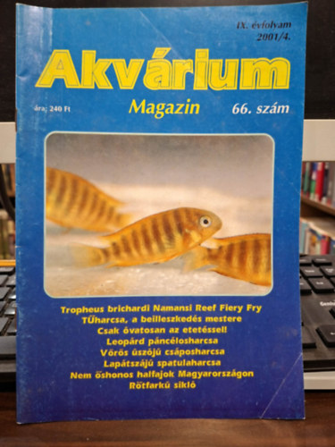 Akv�rium Magazin IX. �vfolyam 2001/4. 66. sz�m - (T�harcsa, Leop�rd p�nc�losharcsa, V�r�s �sz�j� cs�posharcsa, Lap�tsz�j� spatulaharcsa, R�tfark� sikl�)
