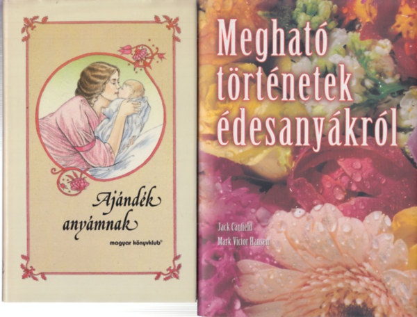 Jack Canfield, Mark Victor Hansen - Meghat trtnetek desanykrl + Ajndk anymnak (2 m)