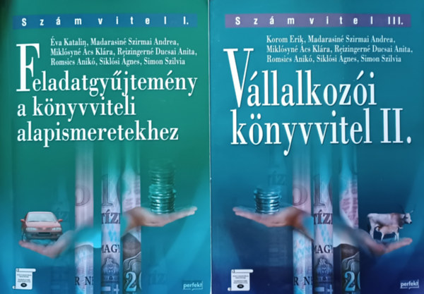 Dr. Korom Erik - Madarasin Szirmai Andrea - Miklsyn cs Klra - Reizingern Ducsai Anita - Romsics Anik - Dr. Siklsi gnes - dr. Simon Szilvia, va Katalin  |  Madarasin S - Vllalkozi knyvvitel II. + Feledatgyjtemny  a knyvviteli alapismeretekhez (2 m)