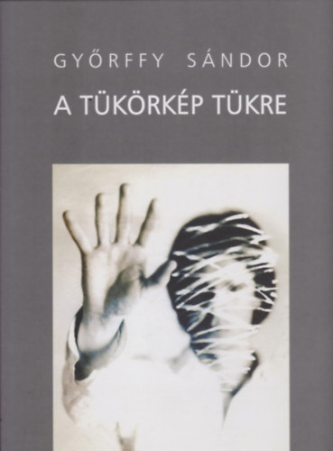 Gyrffy Sndor - A tkrkp tkre