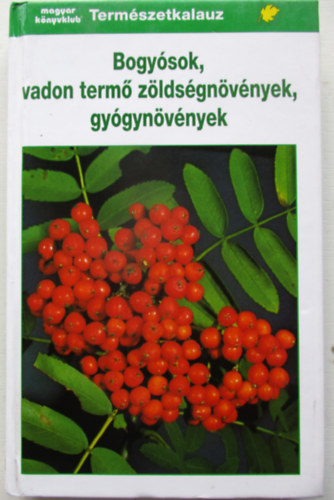 Gunter Steinbach (Illusztrlta Hnel s Fritz Wendler Szakrt: Prof. Paul Bauer) - Bogysok, vadon term zldsgnvnyek, gygynvnyek