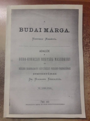 Hantken Miksa - A budai mrga: Adalk a Buda-kovcsii hegysg msodkori s rgibb harmadkori kpzdsei puhny-faunjnak ismerethez