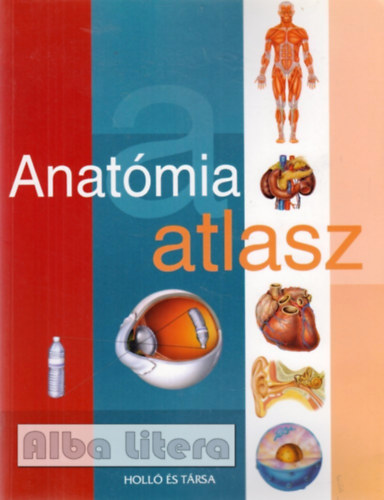 Vincze Zsuzsa (szerk.) - Anatmia atlasz