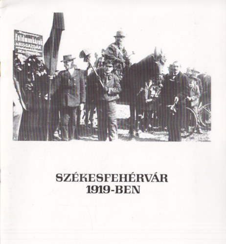 Székesfehérvár 1919-ben