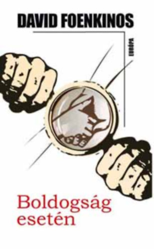David Foenkinos - Boldogsg esetn