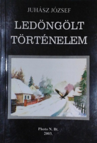 Juhász József - Ledöngölt történelem