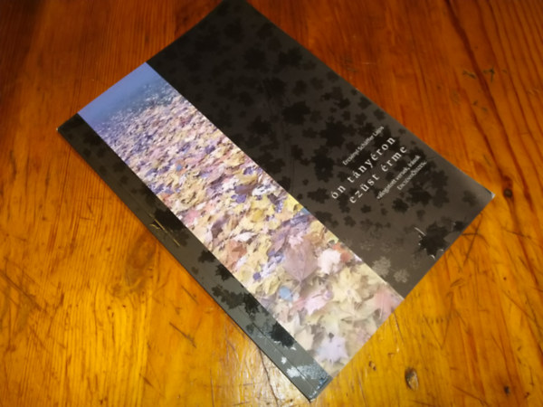 Ercs�nyi Schaffer Lajos - �n t�ny�ron ez�st �rme (Dedik�lt)