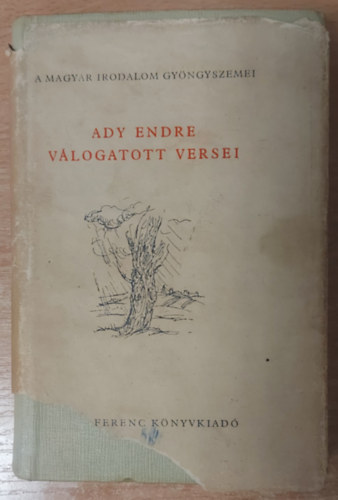 Ady Endre - Ady Endre válogatott versei (A magyar irodalom gyöngyszemei)