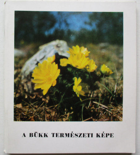 Fkh Levente-Szitta Tams - A Bkk termszeti kpe