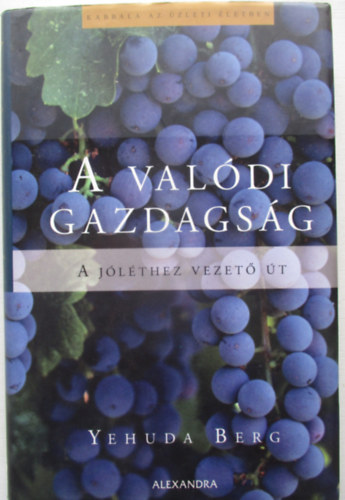Yehuda Berg - A valódi gazdagság - A jóléthez vezető út