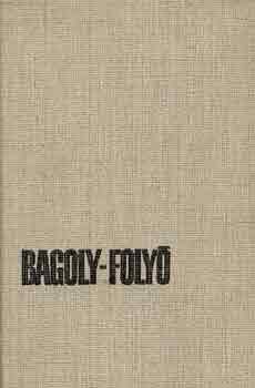 Ambrose Bierce - Bagoly-folyó