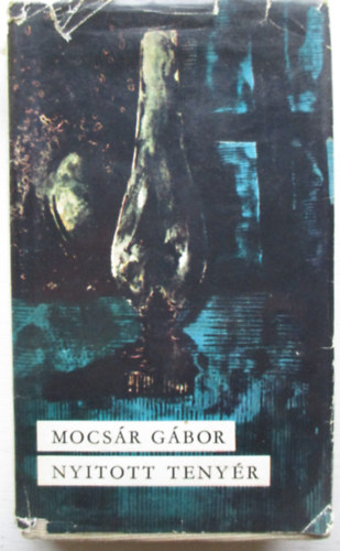 Mocs�r G�bor - Nyitott teny�r