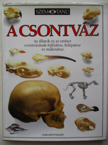 Steve Parker - A csontvz (Szemtan)