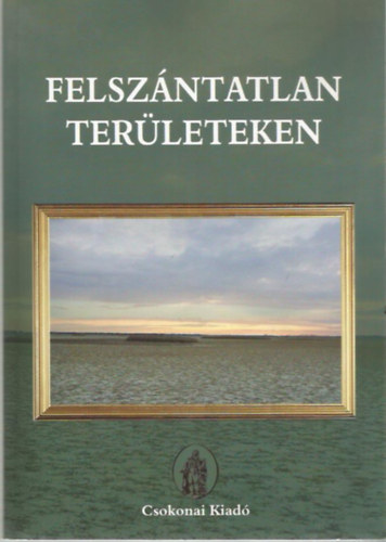 Feny Imre (szerk.) - Rbay Magdolna (szerk.) - Felszntatlan terleteken