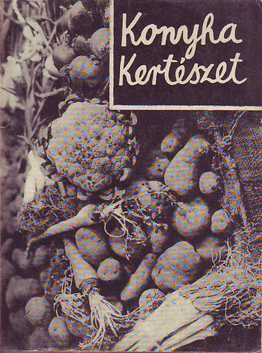 Kardos rpd - Konyhakertszet