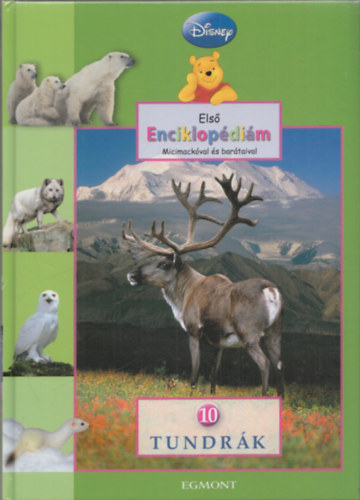 Thea Feldman, Teresa Domnauer, Susan Ring, Caty Hapka - Els enciklopdim Micimackval s bartaival 10. - Tundrk