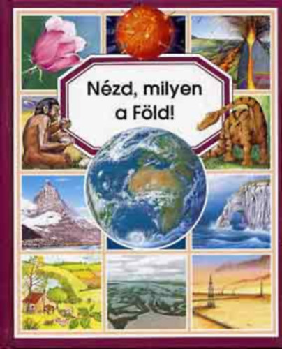 milie Beaumont, Vandewiele, Agns - Nzd, milyen a Fld!