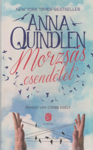 Anna Quindlen - Morzsás csendélet