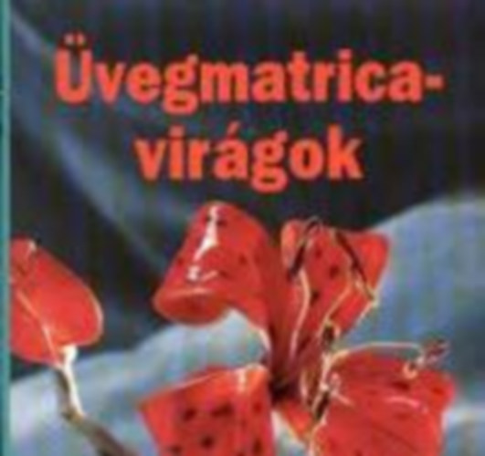 Sznes tletek 5db.:vegmatrica-virgok + Dszts brsonyporral + Varzslatos vegek + Fakanlfigurk + Karcsonyi paprcsillagok