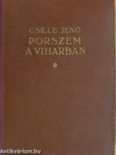 Csille Jenő - Porszem a viharban (Csille)