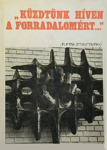 Brsony Ferenc, Bkevri Sndor - ,,Kzdtnk hven a forradalomrt..." - A magyar munksmozgalom Bcs-Kiskun megyei harcosainak letrajzgyjtemnye
