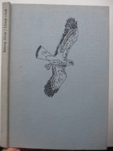 Brsony Istvn - Lrms vizek