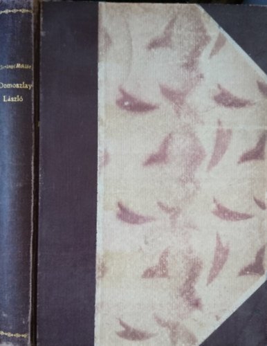 Surányi Miklós - Domoszlay László